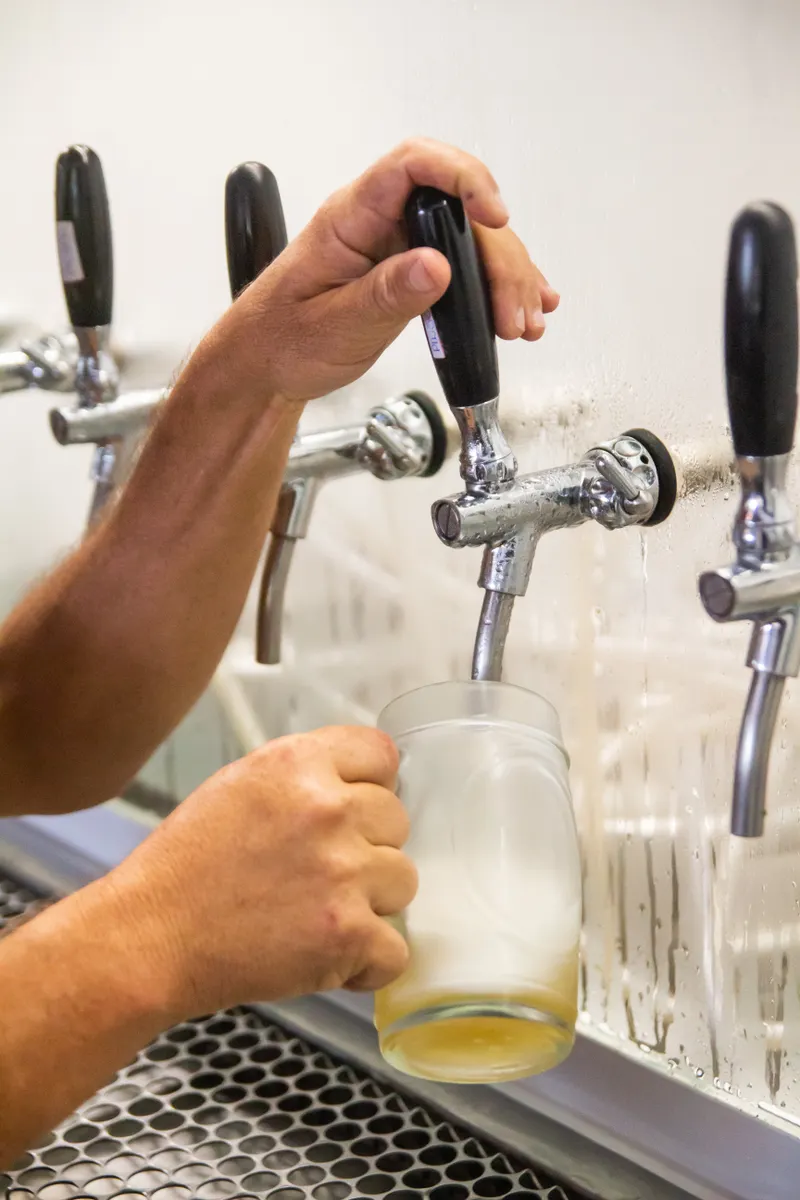 Camarero tirando una caña en el grifo de cerveza